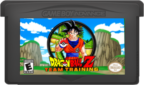 Dragon Ball Z Team Training