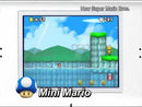 New Super Mario Bros. DS