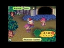 Animal Crossing Wild World Nintendo DS