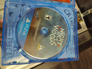 Night in the Woods Playstation 4