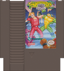 Battletoads And Double Dragon The Ultimate Team NES