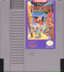 Chip 'n Dale Rescue Rangers NES