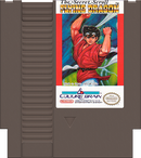 Flying Dragon NES