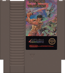 Wizards And Warriors NES