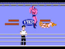 Pro Wrestling NES