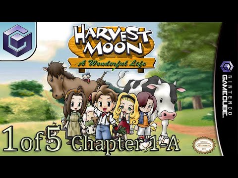 Harvest Moon A Wonderful Life GameCube - Main Image