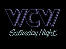 WCW Saturday Night: SK Edition Nintendo 64