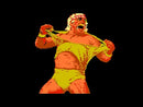 WWF Wrestlemania NES