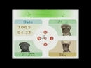 Nintendogs Chihuahua And Friends Nintendo DS