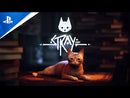 Stray Playstation 5