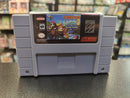 Donkey Kong Country 3 Super Nintendo