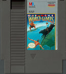 World Games NES