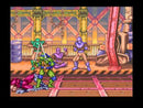 Teenage Mutant Ninja Turtles Tournament Fighters NES